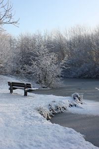 Preview wallpaper bench, winter, snow, traces, lake, ice, branches, hoarfrost