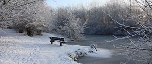 Preview wallpaper bench, winter, snow, traces, lake, ice, branches, hoarfrost