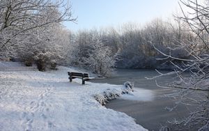 Preview wallpaper bench, winter, snow, traces, lake, ice, branches, hoarfrost
