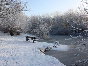 Preview wallpaper bench, winter, snow, traces, lake, ice, branches, hoarfrost