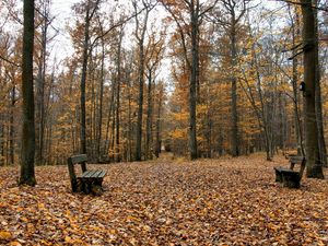 Preview wallpaper benches, park, leaves, autumn, emptiness, opposite