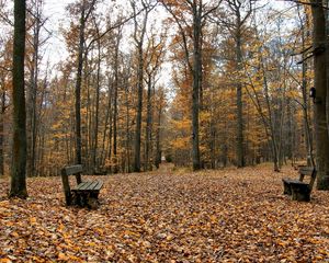 Preview wallpaper benches, park, leaves, autumn, emptiness, opposite