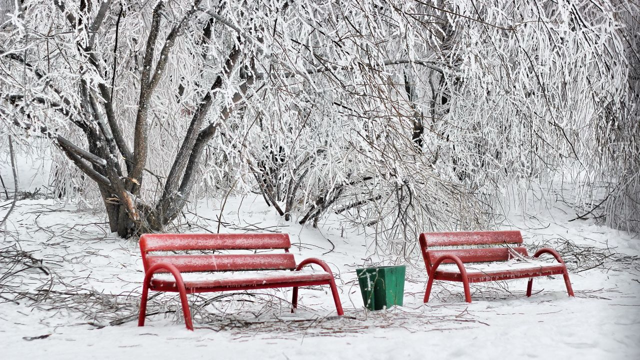 Wallpaper benches, winter, hoarfrost, snow, cold, ballot box, red