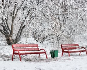 Preview wallpaper benches, winter, hoarfrost, snow, cold, ballot box, red