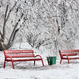 Preview wallpaper benches, winter, hoarfrost, snow, cold, ballot box, red