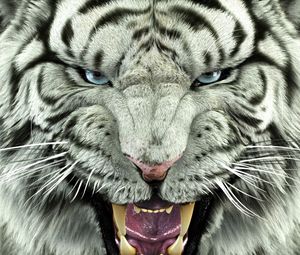 Preview wallpaper bengal tiger, tiger, big cat, predator