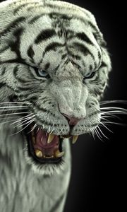 Preview wallpaper bengal tiger, tiger, big cat, predator, fangs
