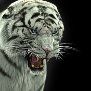 Preview wallpaper bengal tiger, tiger, big cat, predator, fangs