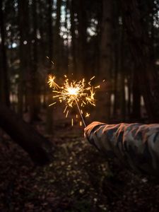 Preview wallpaper bengali fire, hand, night, forest