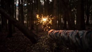 Preview wallpaper bengali fire, hand, night, forest