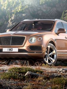 Preview wallpaper bentley, bentayga, brown, side view