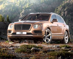 Preview wallpaper bentley, bentayga, brown, side view