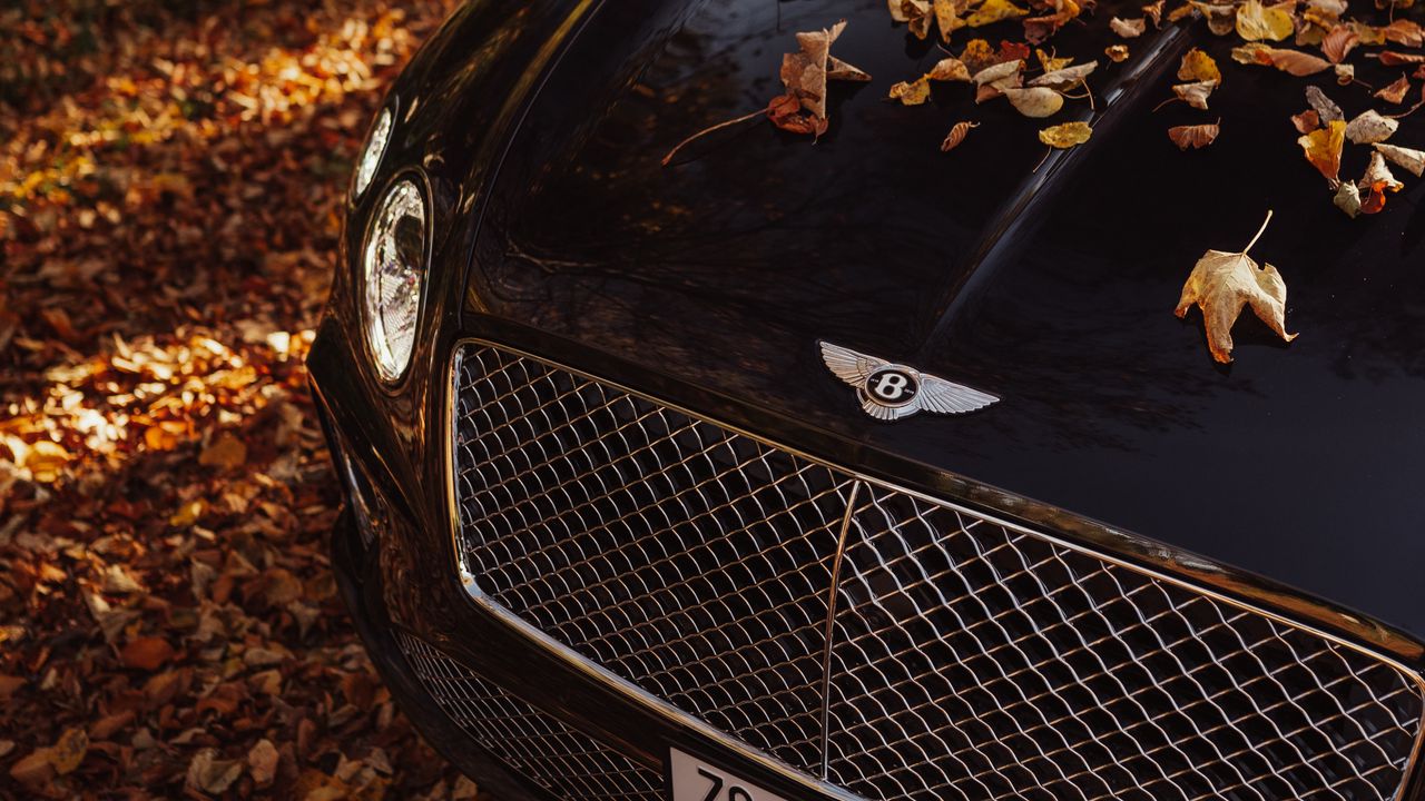 Wallpaper bentley continental gt, bentley, car, black, leaves