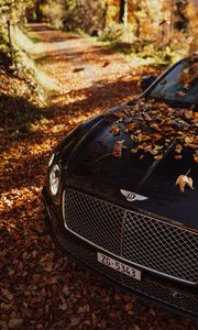 Preview wallpaper bentley continental gt, bentley, car, black, leaves