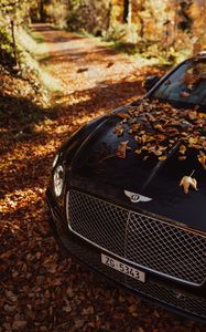 Preview wallpaper bentley continental gt, bentley, car, black, leaves