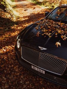 Preview wallpaper bentley continental gt, bentley, car, black, leaves