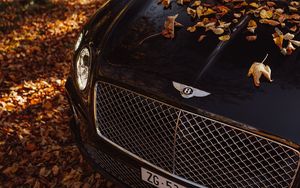 Preview wallpaper bentley continental gt, bentley, car, black, leaves