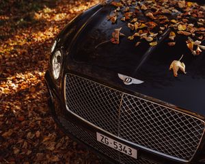 Preview wallpaper bentley continental gt, bentley, car, black, leaves