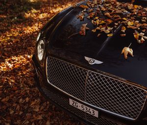 Preview wallpaper bentley continental gt, bentley, car, black, leaves