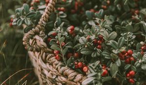 Preview wallpaper berries, basket, blur, harvest