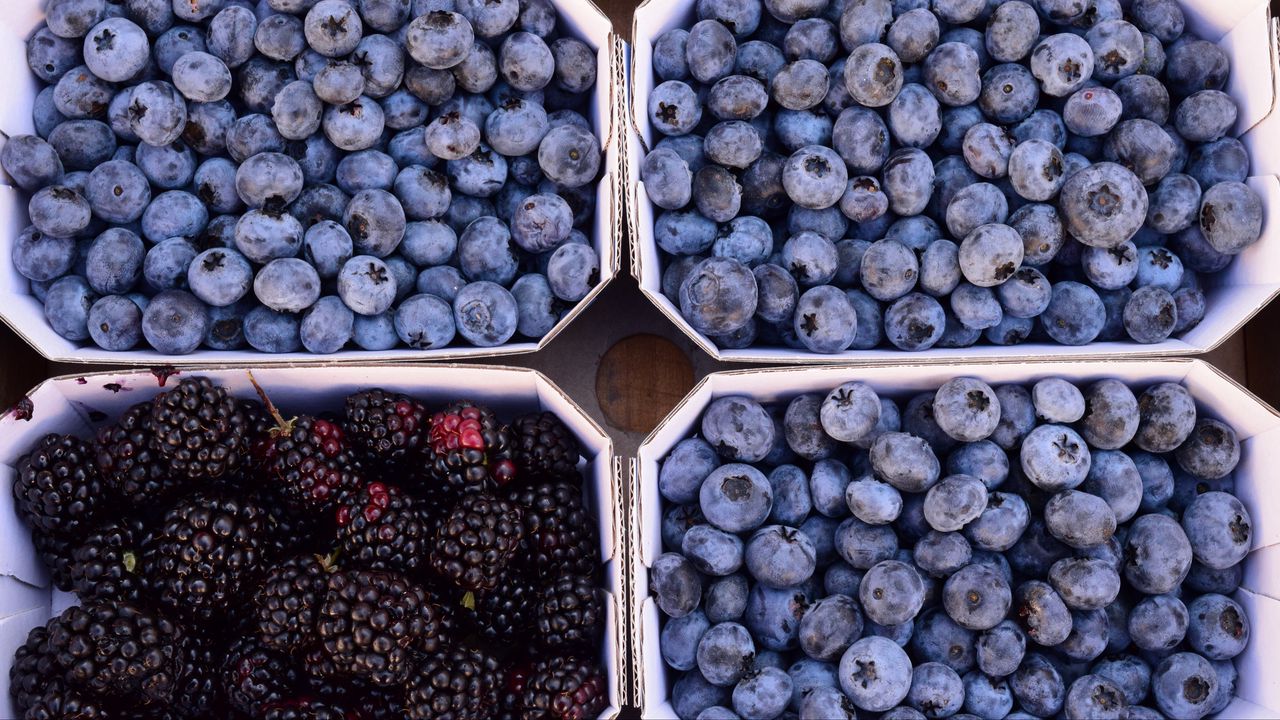 Wallpaper berries, blueberries, blackberries