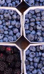 Preview wallpaper berries, blueberries, blackberries