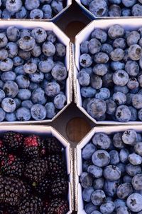 Preview wallpaper berries, blueberries, blackberries