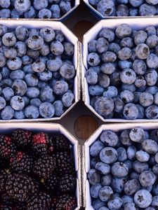 Preview wallpaper berries, blueberries, blackberries