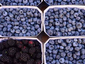 Preview wallpaper berries, blueberries, blackberries