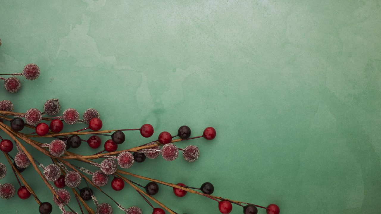 Wallpaper berries, branches, frost, macro, green, red