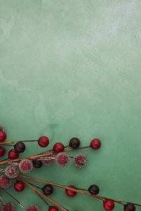 Preview wallpaper berries, branches, frost, macro, green, red
