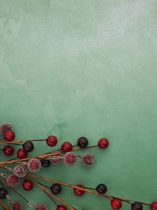 Preview wallpaper berries, branches, frost, macro, green, red