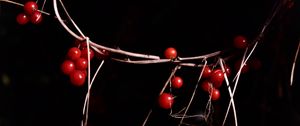 Preview wallpaper berries, branches, red, macro, highlights