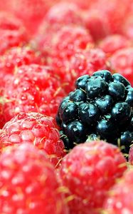 Preview wallpaper berries, raspberries, blackberries, close up