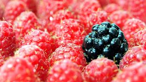 Preview wallpaper berries, raspberries, blackberries, close up
