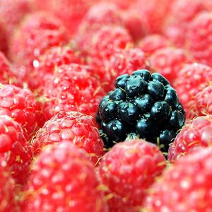 Preview wallpaper berries, raspberries, blackberries, close up