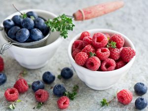 Preview wallpaper berries, raspberries, cranberries, saucers