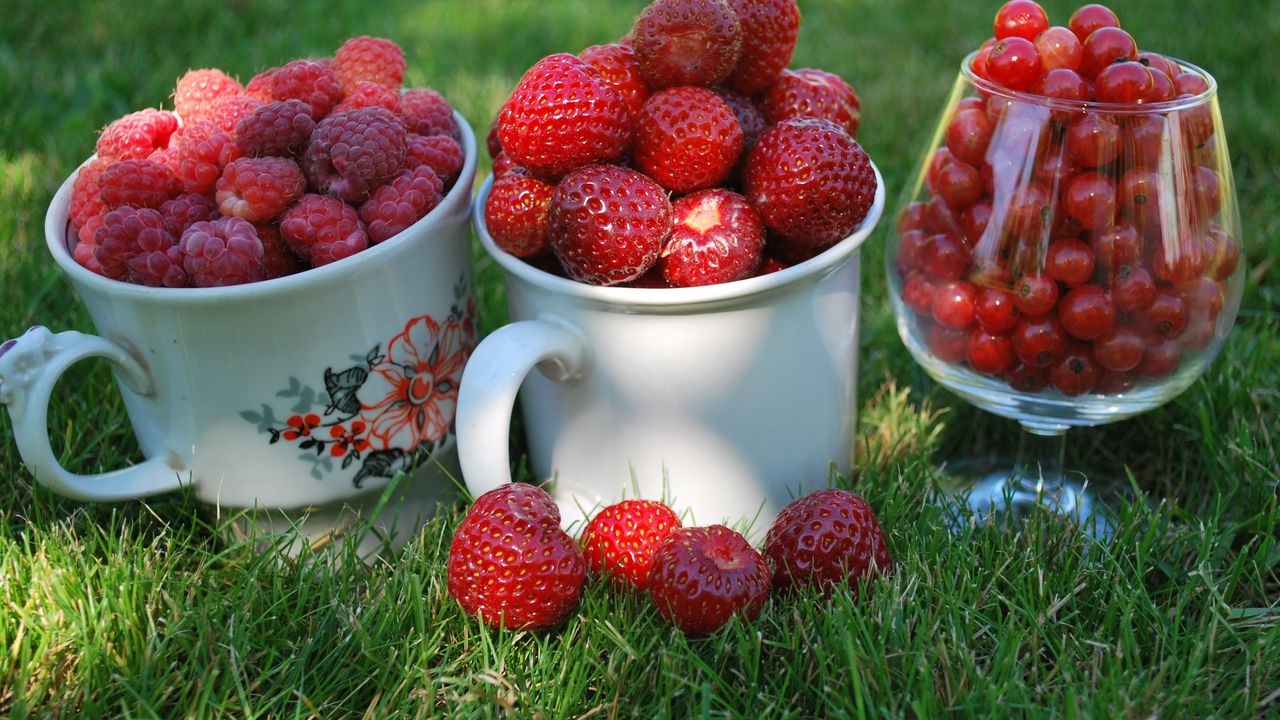 Wallpaper berries, raspberries, currants, red, strawberry, summer, mugs, cups, glass, grass, close-up