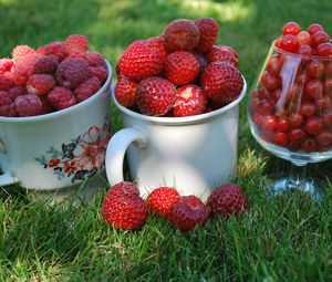 Preview wallpaper berries, raspberries, currants, red, strawberry, summer, mugs, cups, glass, grass, close-up