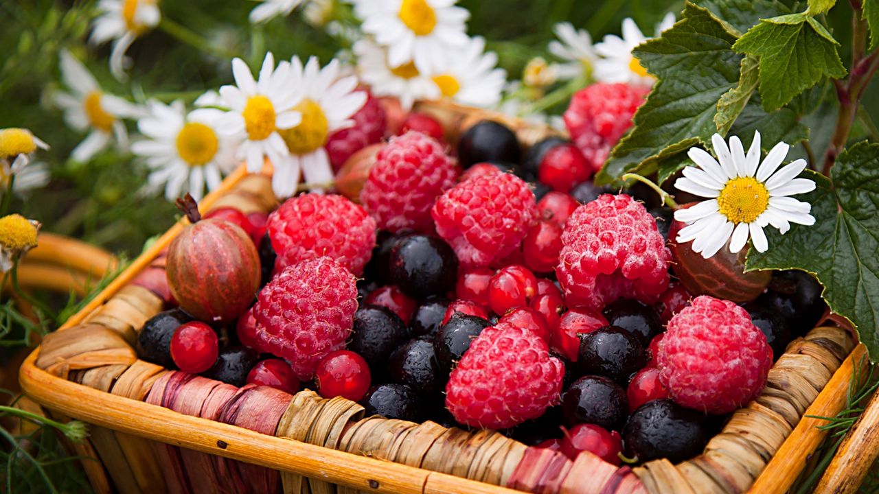 Wallpaper berries, raspberries, gooseberries, currants, chamomile, basket