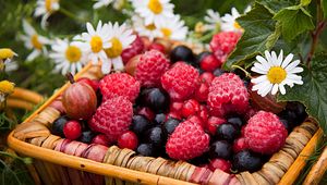 Preview wallpaper berries, raspberries, gooseberries, currants, chamomile, basket