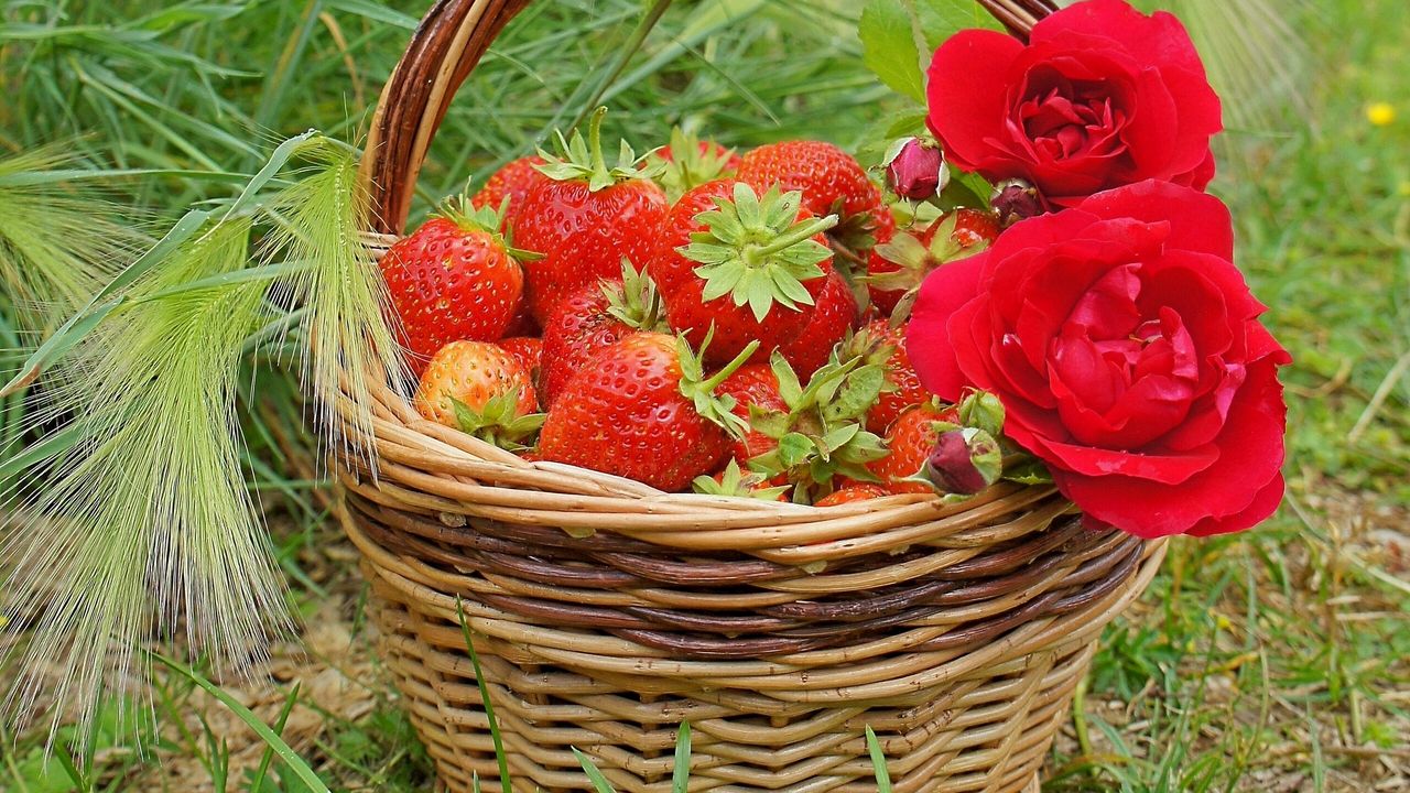 Wallpaper berries, rose, strawberry, basket