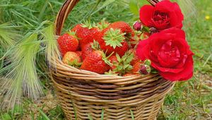 Preview wallpaper berries, rose, strawberry, basket