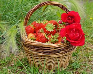 Preview wallpaper berries, rose, strawberry, basket