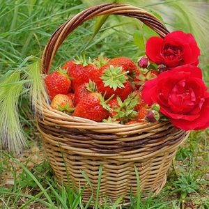 Preview wallpaper berries, rose, strawberry, basket