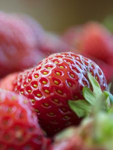 Preview wallpaper berries, strawberries, leaves, macro