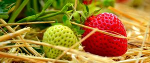 Preview wallpaper berries, strawberries, ripening