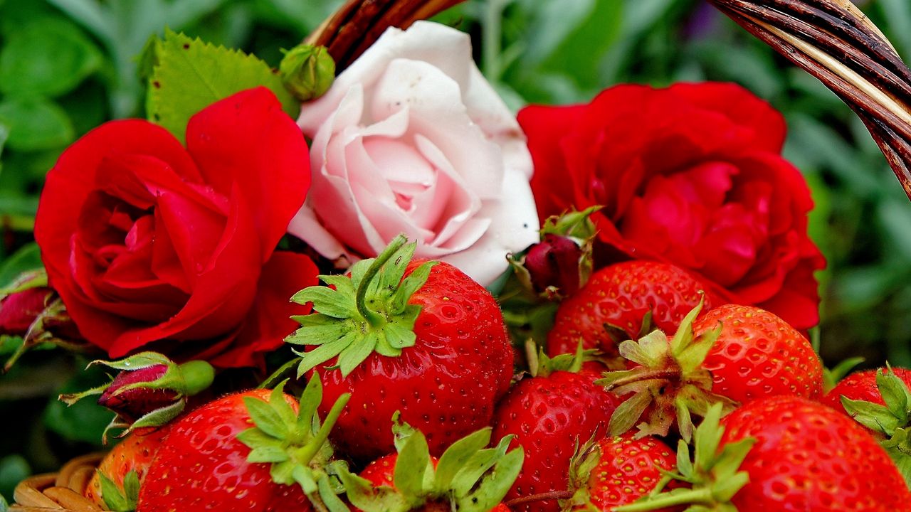 Wallpaper berries, strawberries, roses, flowers, buds