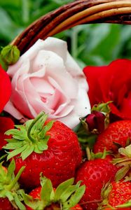 Preview wallpaper berries, strawberries, roses, flowers, buds