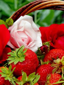 Preview wallpaper berries, strawberries, roses, flowers, buds